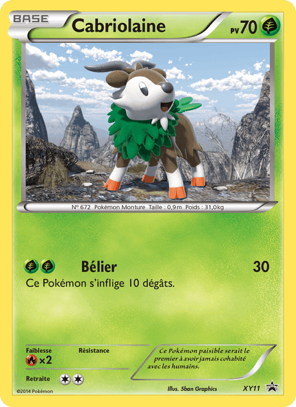 Cabriolaine, carte XY11 de Promo XY