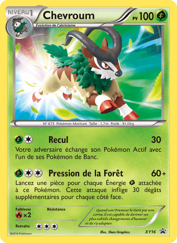 Chevroum, card XY16 from Promo XY