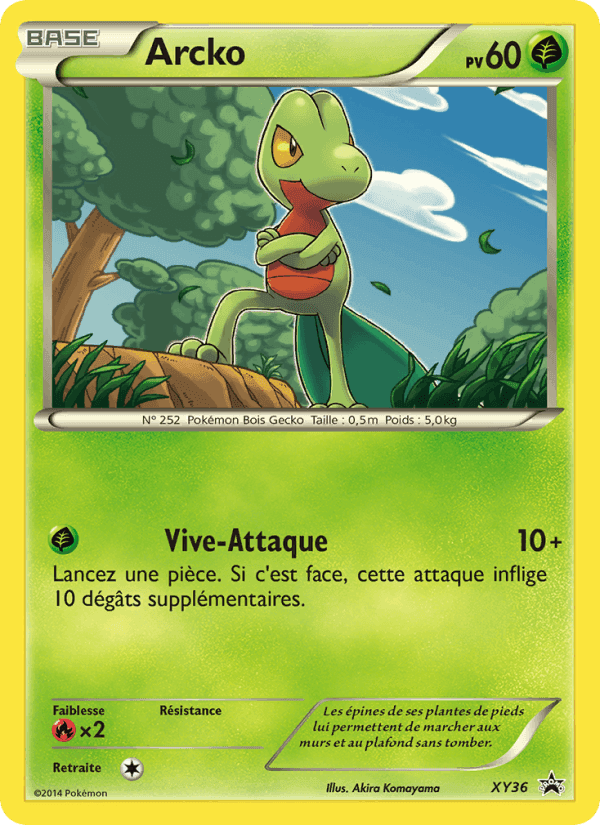 Arcko, carte XY36 de Promo XY