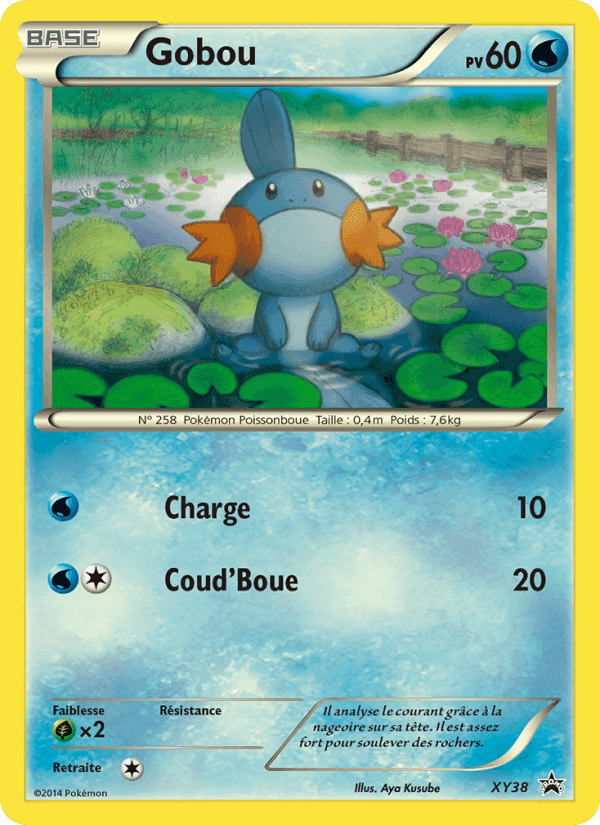 Gobou, carte XY38 de Promo XY