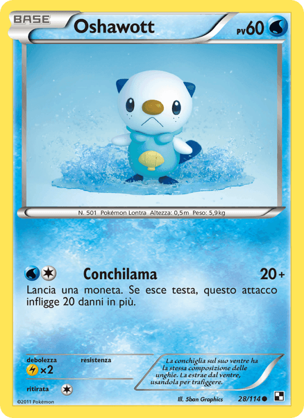 Oshawott, carta 28 di Nero e Bianco