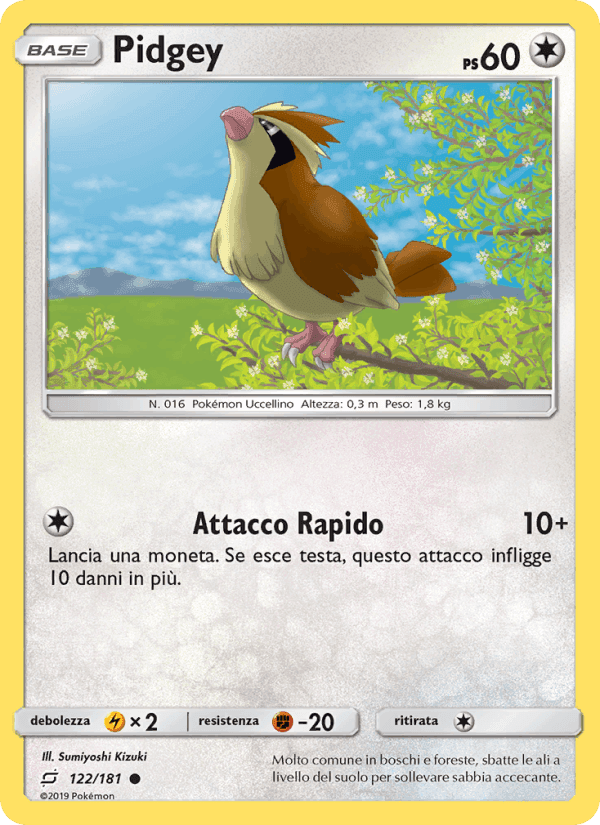 Gioco di Squadra の 122 番、Pidgey