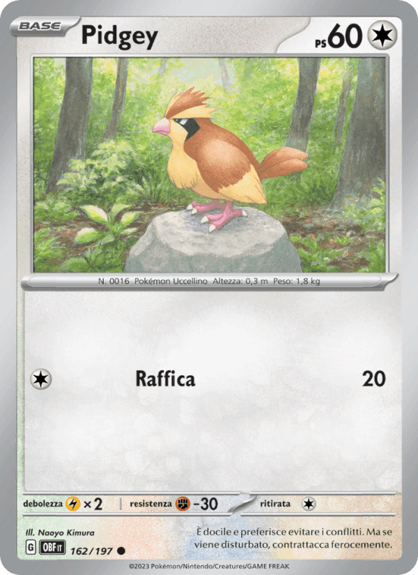 Pidgey, carta 162 di Ossidiana Infuocata