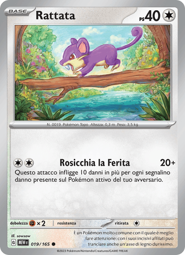 151 の 019 番、Rattata
