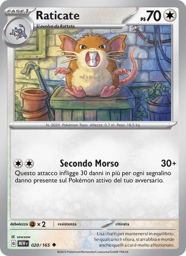 151 の 020 番、Raticate