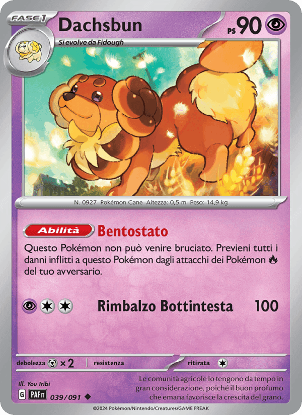 Dachsbun, carta 039 di Destino di Paldea