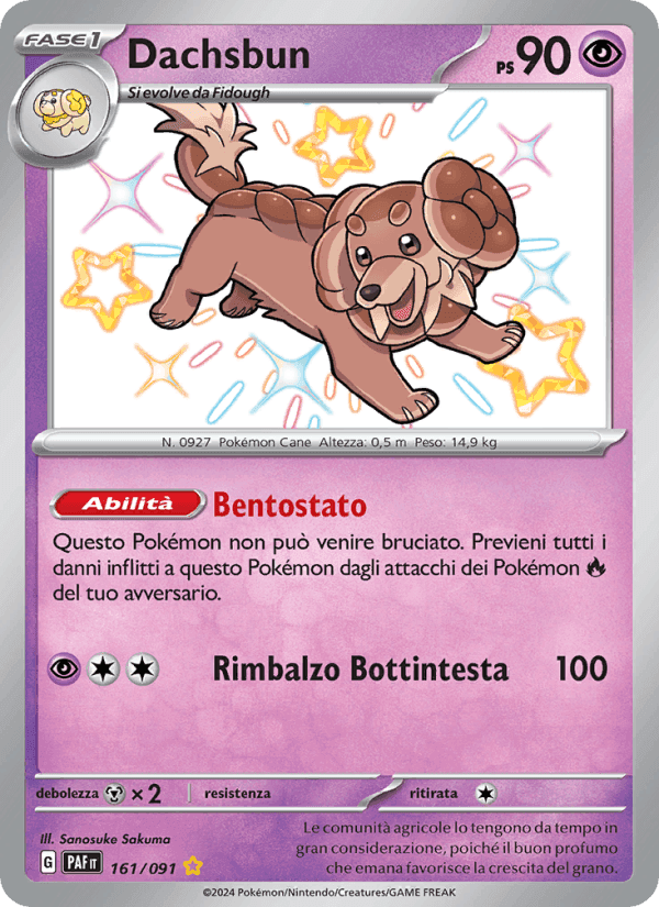 Dachsbun, carta 161 di Destino di Paldea
