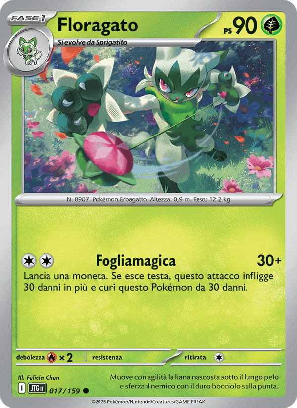 Floragato, carta 017 di Avventure Insieme