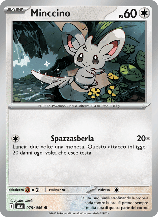 Minccino, carta 075 di Luce Nera