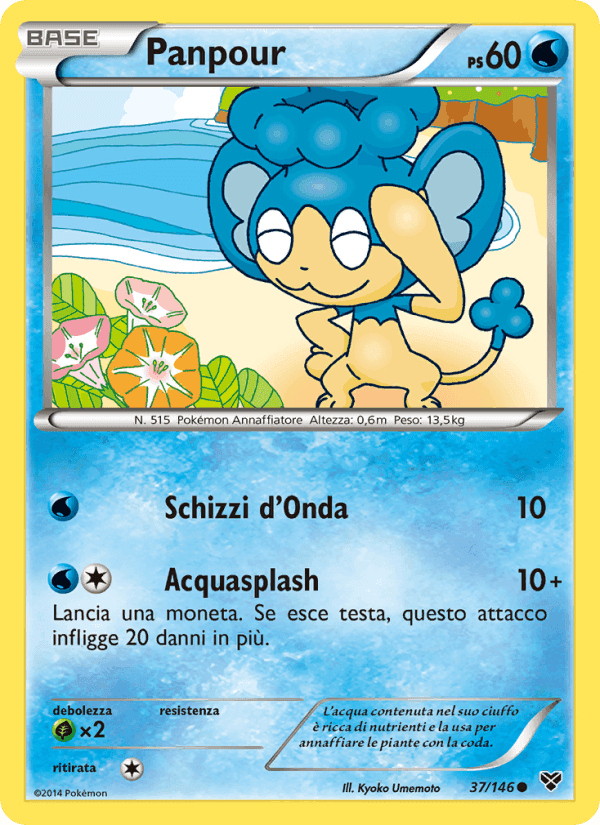 XY の 37 番、Panpour