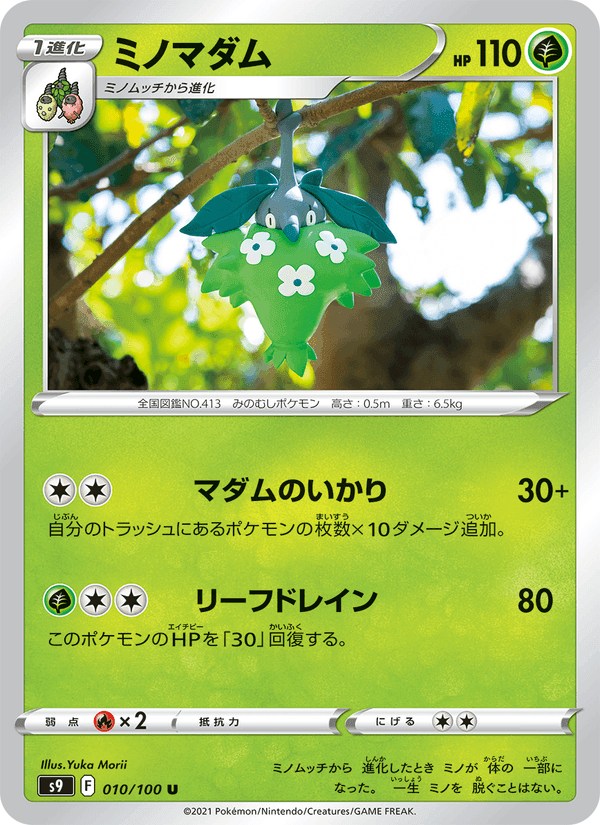 ミノマダム, carta 010 di スターバース