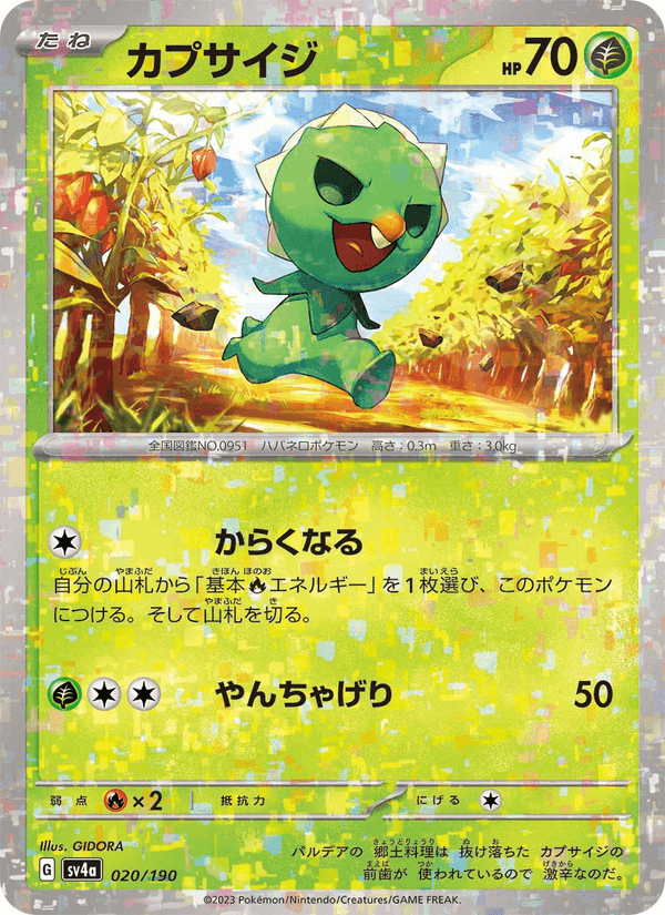 カプサイジ, carta 020 de レイジングサーフ