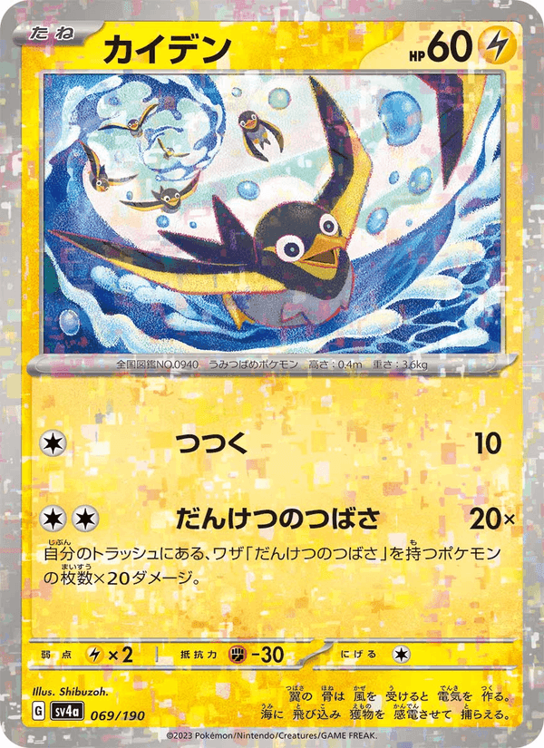 カイデン, card 069 from レイジングサーフ