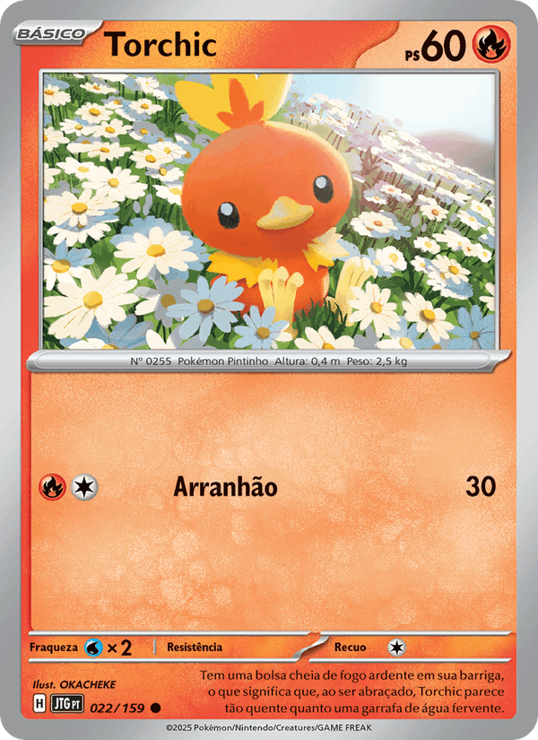 Torchic, carta 022 di Amigos de Jornada