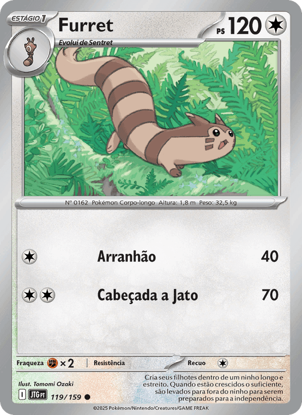 Furret, carta 119 de Amigos de Jornada