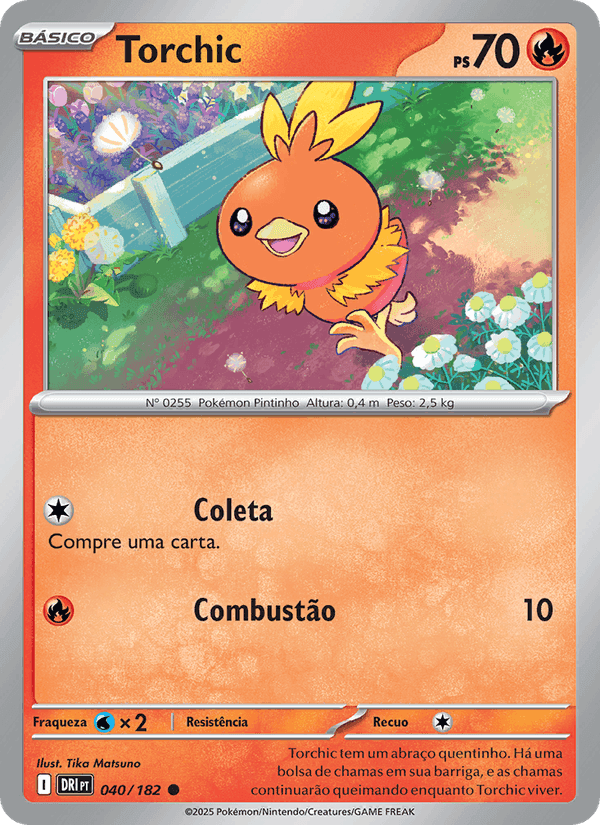 Torchic, carte 040 de Rivais Predestinados