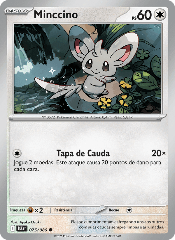 Minccino, carte 075 de Raio Preto