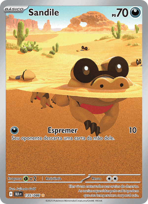 Sandile, card 135 from Raio Preto