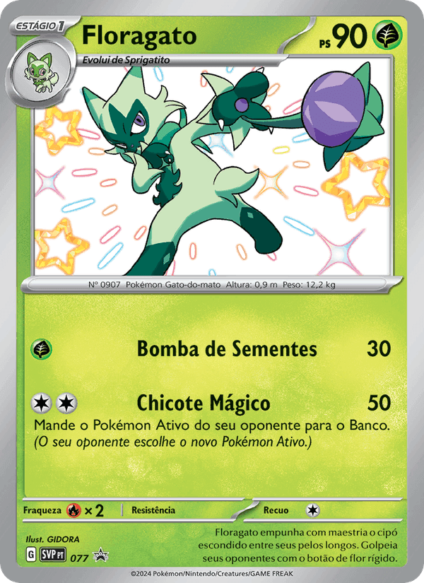 Floragato, card 077 from SVP Black Star Promos