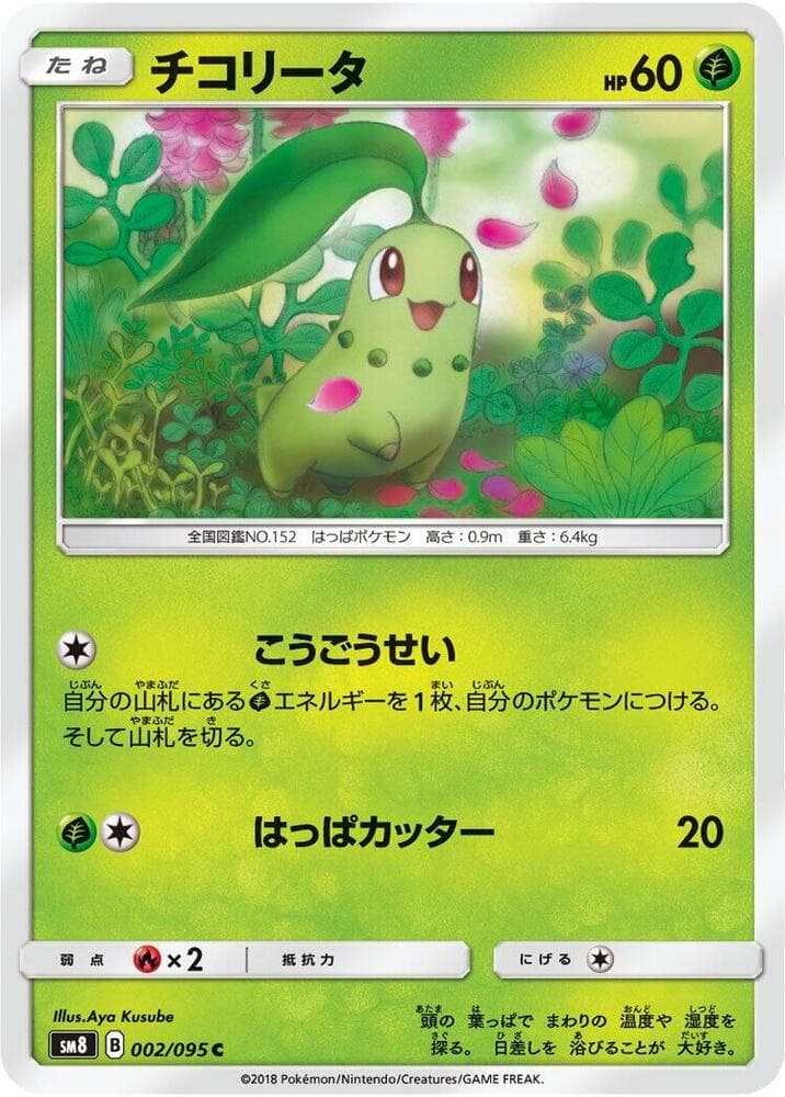 チコリータ, carta 002 di Tuoni Perduti