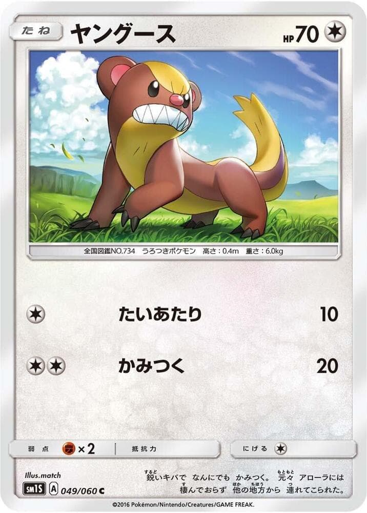 ヤングース, carta 049 de コレクションサン