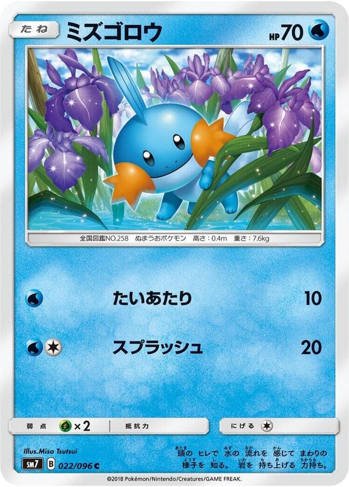 ミズゴロウ, carta 022 de Tempestade Celestial