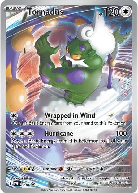 Tornadus, card 210 from SVP Black Star Promos