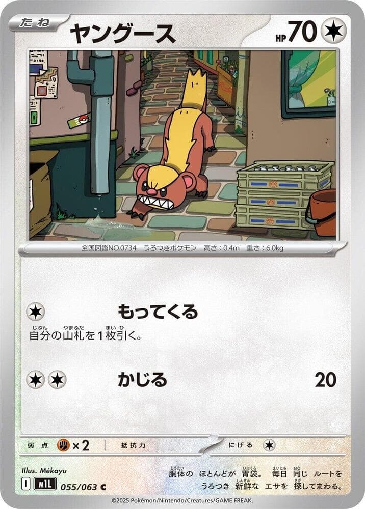 ヤングース, carta 055 di メガブレイブ