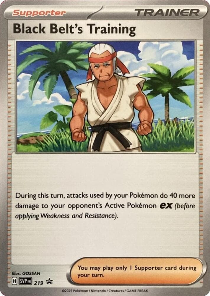 Black Belt's Training, card 219 from SVP Black Star Promos