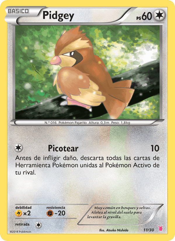 Pidgey, carta 11 de Kit de Entrenador XY (Wigglytuff)
