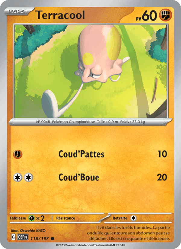 Terracool, card 118 from Flammes Obsidiennes