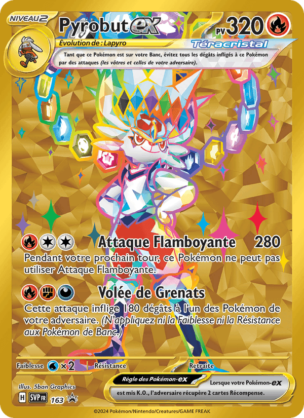 Pyrobut-ex, card 163 from SVP Black Star Promos