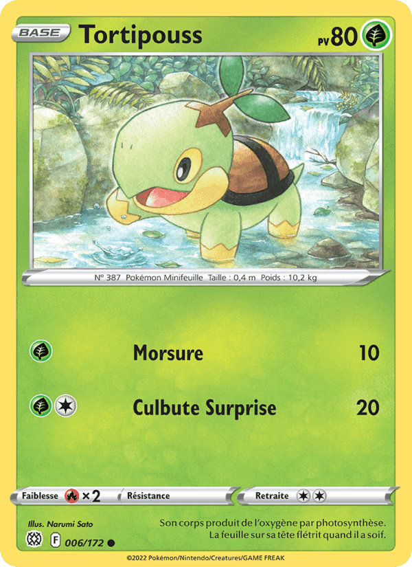 Tortipouss, card 006 from Stars Étincelantes